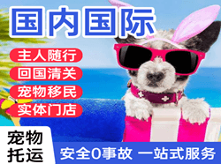 常州航空物流国际宠物托运 【国